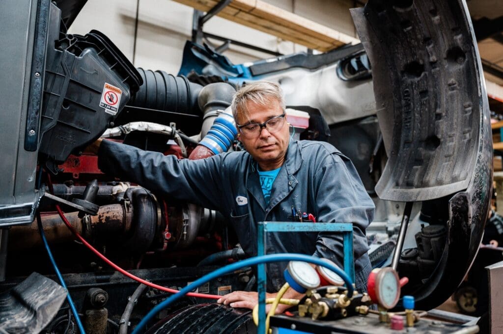 Remove And Repair Service